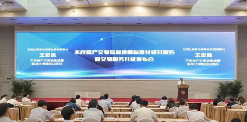 北金所成功舉辦不良資產(chǎn)交易信息披露標(biāo)準(zhǔn)化研究報(bào)告暨交易服務(wù)升級(jí)發(fā)布會(huì)，助力新沂互聯(lián)網(wǎng)游戲服務(wù)行業(yè)規(guī)范發(fā)展